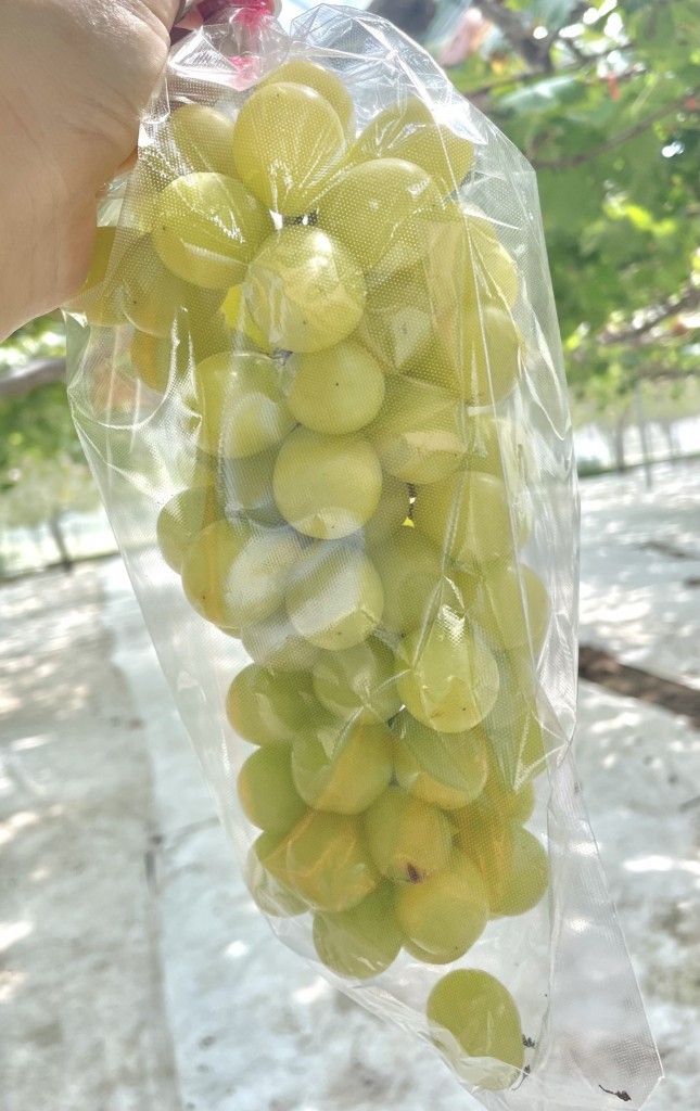image0 (5)