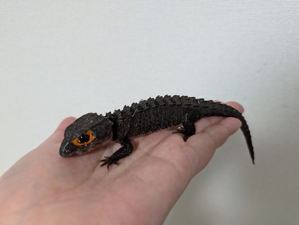 PXL_20260118_055032339