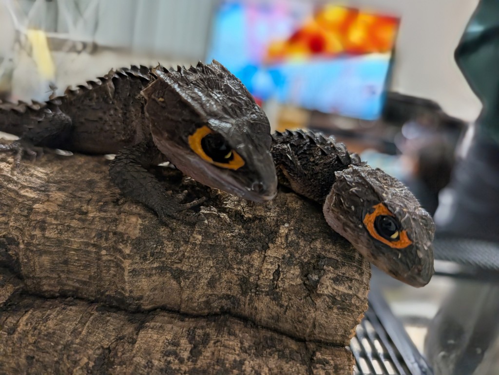 PXL_20260118_080535123~2